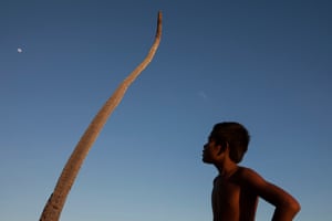 3.   At sunset in South Tarawa, a boy looks across at a palm tree killed by ocean inundation. In a few days, the moon will be full, bringing the highest tide in three months and the chance of another inundation.