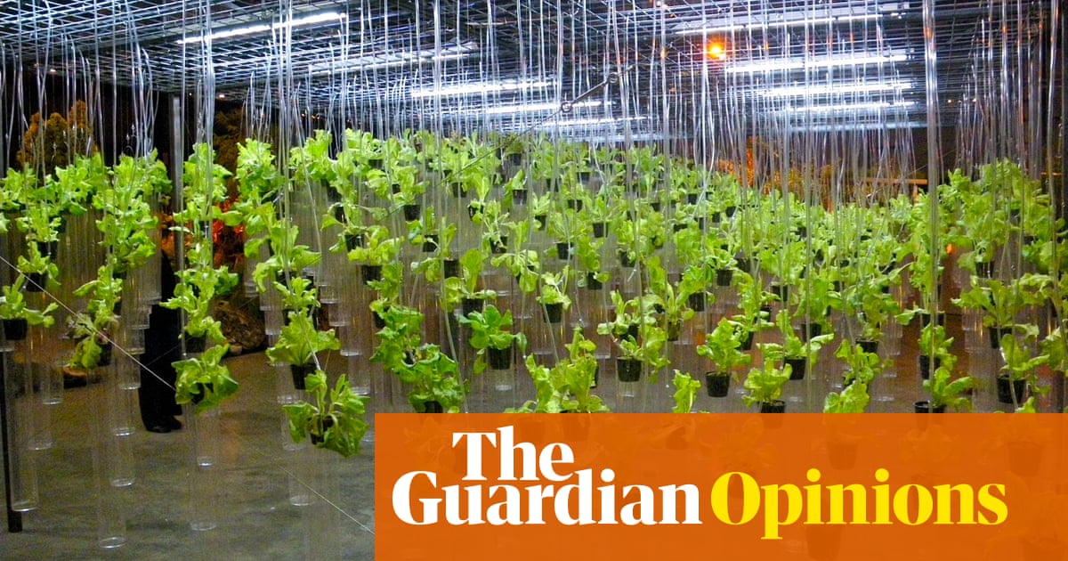 The Buzz Around Indoor Farms And Artificial Lighting Makes No Indoor Farms And Artificial Lighting