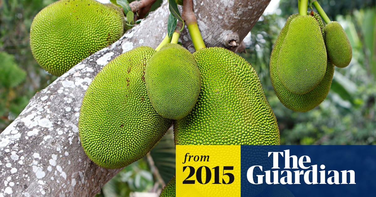 Green jackfruit: is ‘pulled pork for vegetarians’ the next big food craze?