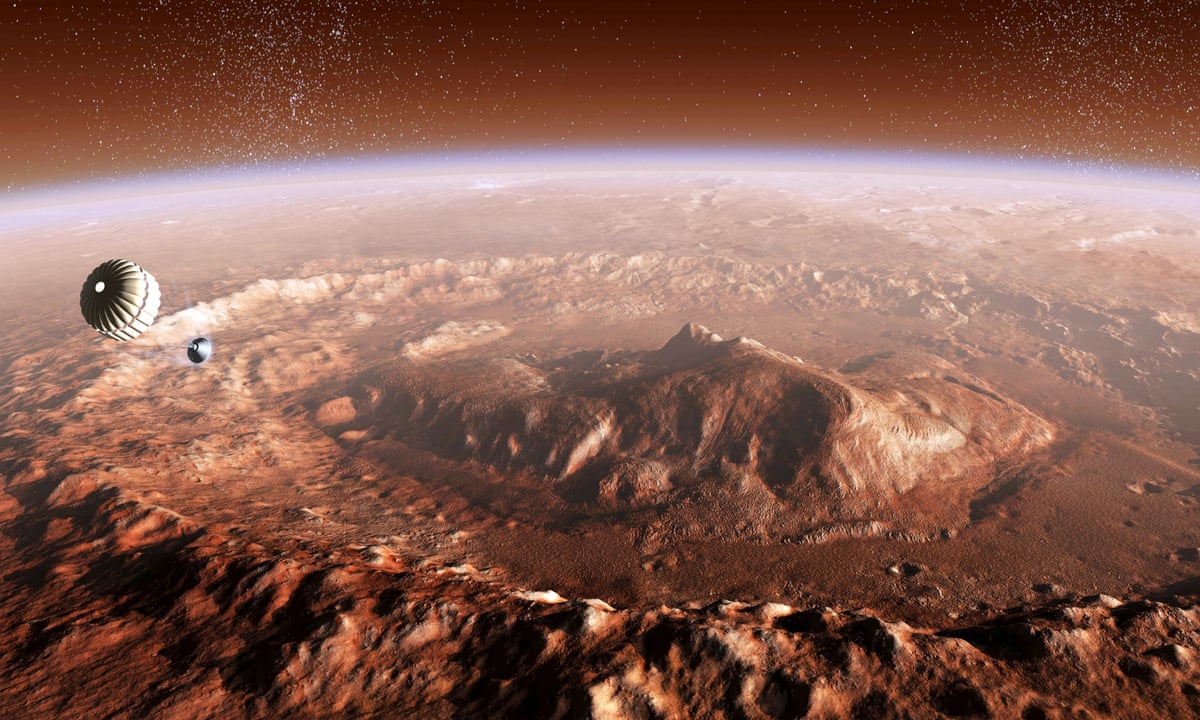 curiosity finds