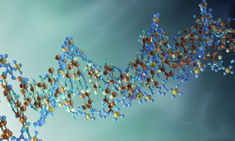 DNA strand