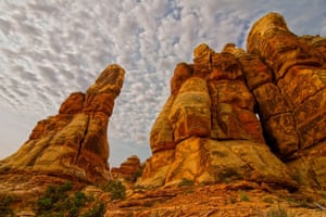 Pinnacles of rock, part of a large geological feature called the Needles, in Canyonlands National Park
