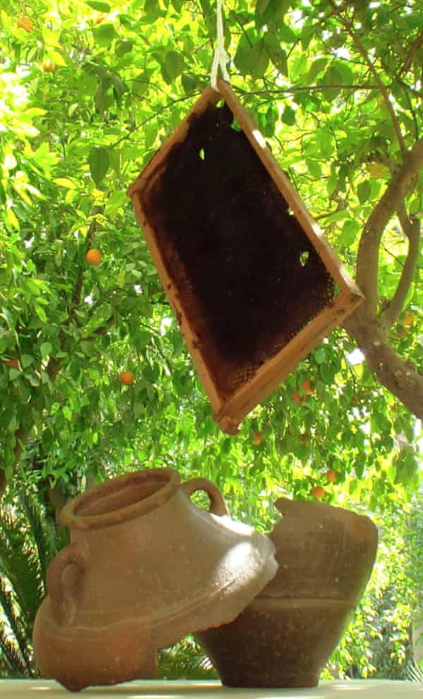 Furat al-Jamil’s honeypot installation hanging in a tree