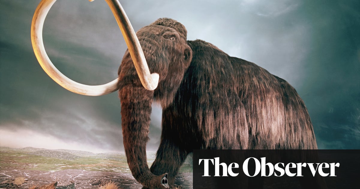 Has anybody ever gotten the elephant/mammoth exhibit combination