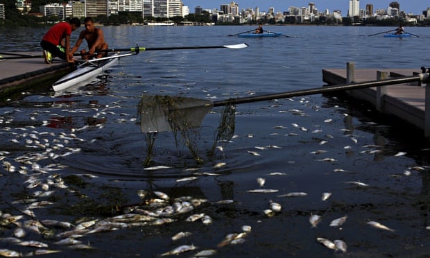 Stench of dead fish in Rio lake won't spoil Olympic Games ...