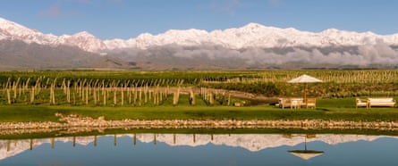 The Vines of Mendoza, Vista Flores, Uco Valley.