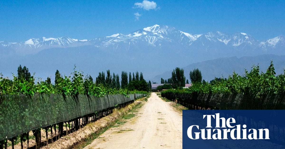 Argentina S Mendoza Wine Route Top 10 Guide Travel The Guardian