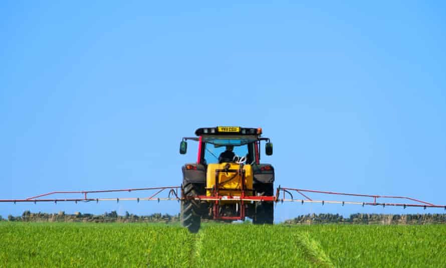 If we left Europe… some say we'd be in a better position to sell agricultural products to the world.