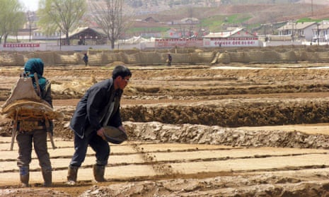 North Korean co-operative farm workers