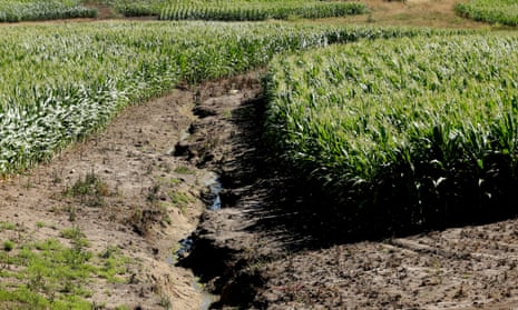 This Iowa cornfield shows signs of erosion and fertilizer runoff. Climate Corporation claims its analyses help farmers make more efficient decisions about seed, water use and fertilizer.