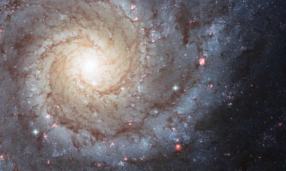 A spiral galaxy photographed by the Hubble space telescope. Photograph: Alamy