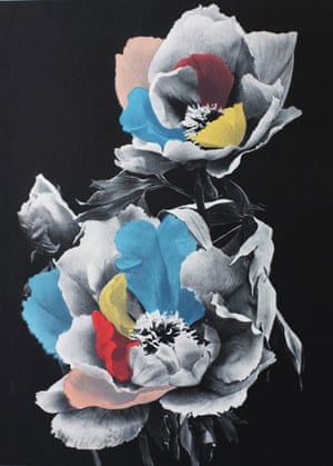 Fleur #1 screen print, 2014, by Les Tontons Racleurs