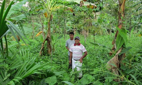 The Panama enterprise aims to turn plots of deforested land into sustainable tropical ecosystems.