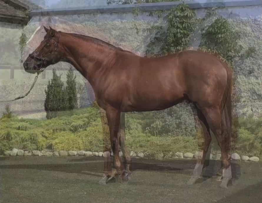 John Stezaker’s Horse (2012), which uses near-identical pictures from many editions of a racehorse catalogue to create ‘an overwhelming onrush’ of images.