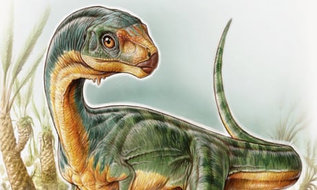 Why are dinosaurs extinct? You asked Google – here's the answer