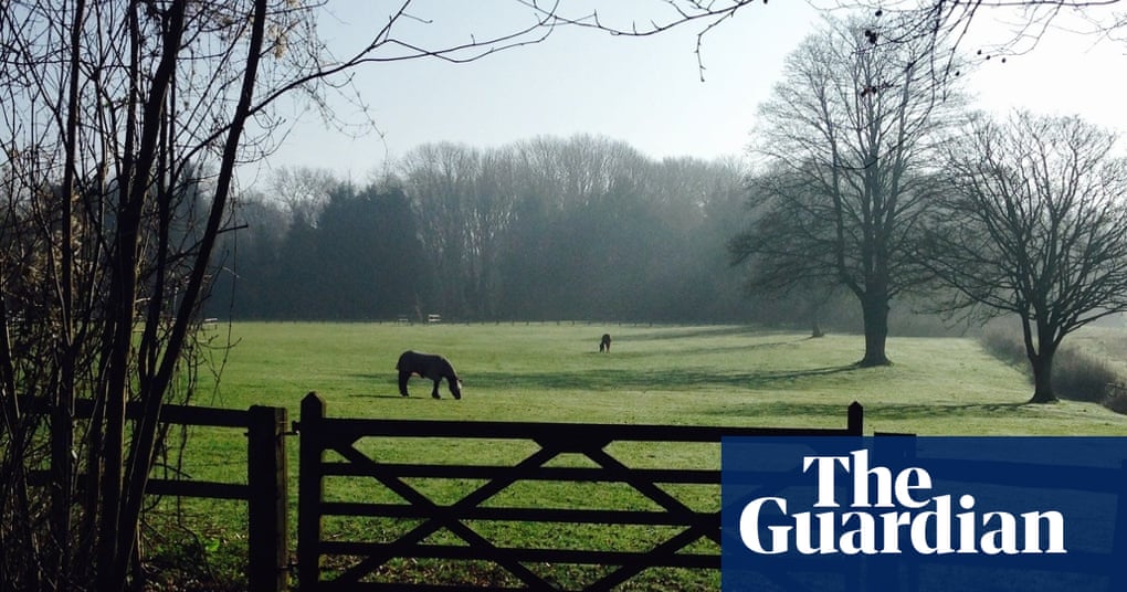 Weather view your April pictures UK news The Guardian