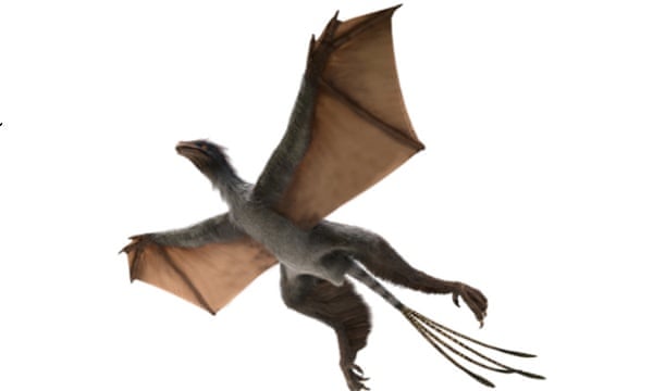 Is it a bird? Is it a bat? Meet Yi qi, the dinosaur that is sort of both |  Dinosaurs | The Guardian