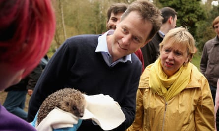 Nick Clegg visiting a hedgehog sanctuary