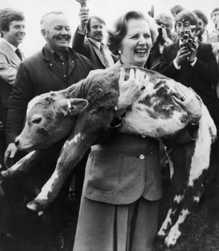 Margaret Thatcher carries a calf