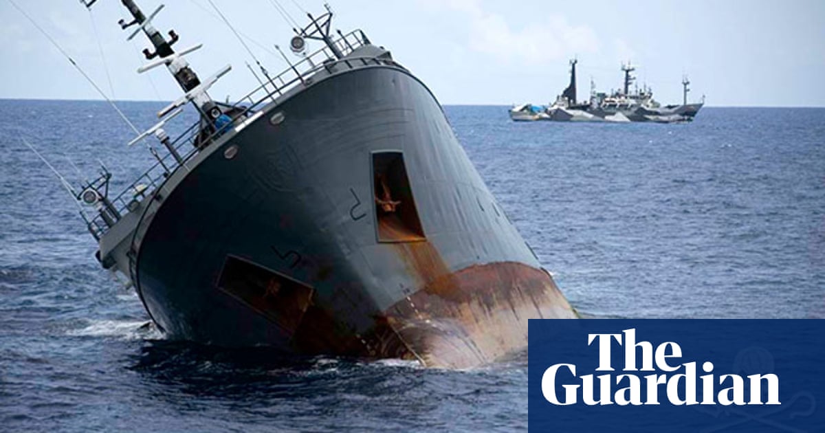 Captain Deliberately Sank Illegal Fishing Vessel Claim Sea Shepherd Rescuers