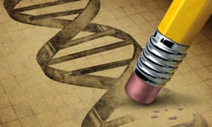 Image result for genetic technology for humans pics