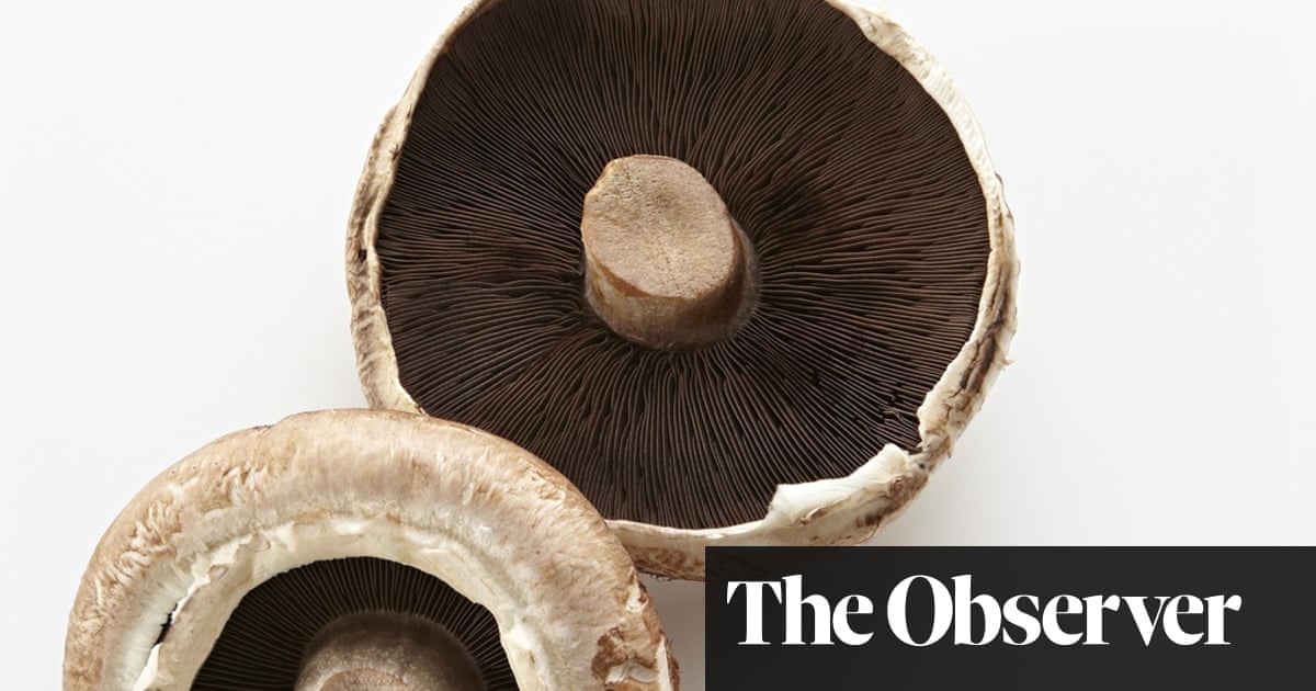 why our resemblance to mushrooms may