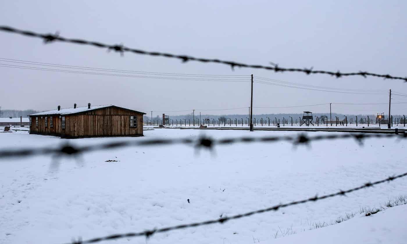 My grandparents rejected the Holocaust survivor label. They weren't alone