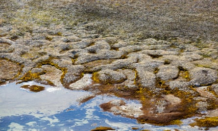 Patterned ground and stone circles formed above permafrost in the high Arctic on Spitsbergen, Svalbard