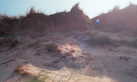 Behind the beach … meols are sands that have been colonised by plants and wildlife