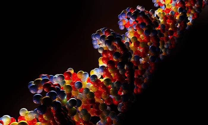 genetic engineering unethical essay genetic engineering unethical essay
