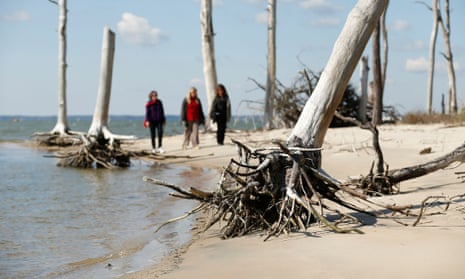 Women walk through a coastal ghost forest believed to be caused by sea level rise on Assateague Island in Virginia, October 25, 2013.