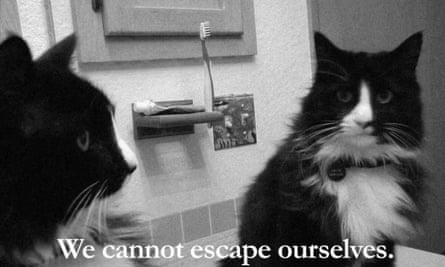 Henri, the Existential Cat.