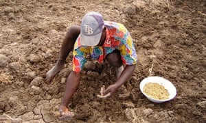 70% of all food consumed worldwide comes from smallholder family farmers. So why aren’t we doing more to protect them? 2 Some 3,200 Haitian smallholder farmers are pioneering a new market-based approach, using trees as bio-currency to pay for doubling food production while improving farm livelihoods and communities.