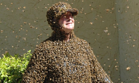 Bee happy, don't panic