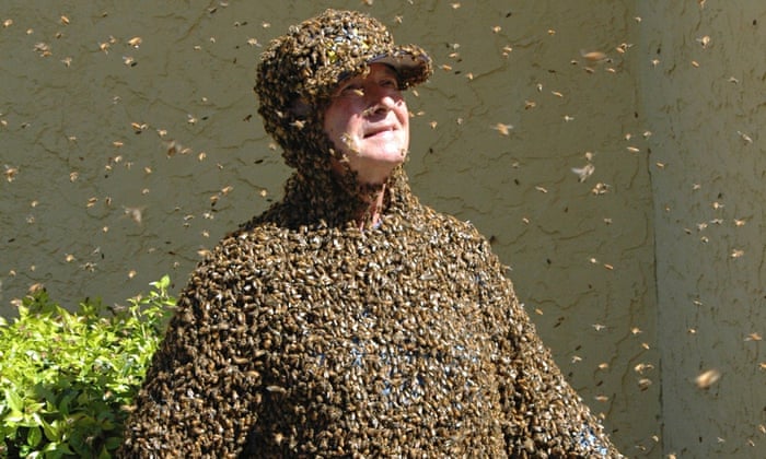  The active season: Bees Swarming
