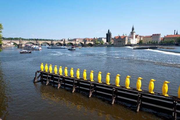 34 yellow penguins, on the Vltava River. An installation by the Cracking Art Group in collaboration with Muzeum Kampa.