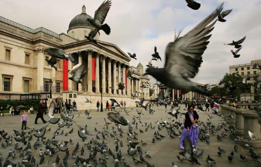 A woman is surrounded by pigeons in Trafalgar Square, London.