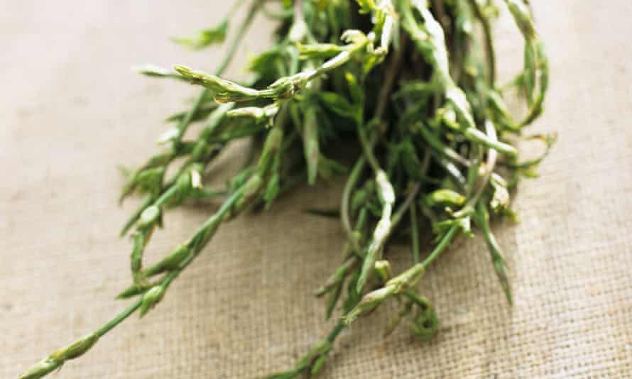 It S Like Eating A Hedgerow Why Do Hop Shoots Cost 1 000 A Kilo Vegetables The Guardian