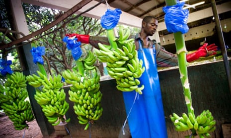 The Fairtrade banana, by the Fairtrade Foundation, shortlisted for ethical product of the decade.