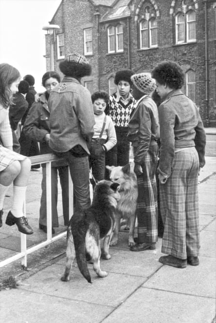 Youths with dogs in Toxteth.
