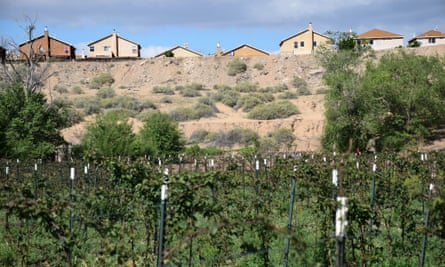New neighbours in Albuquerque’s semi-rural South Valley overlook Lorenzo Candelaria’s farm.