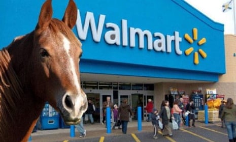 Horse And Girl Sax Video - Supermarket giant shuts Walmart.horse website after joke has bolted |  Technology | The Guardian