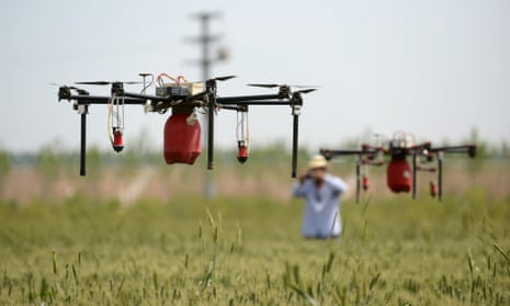 Drones fly over a wheat field to spray insecticide in Shijiazhuang, north China's Hebei Province.