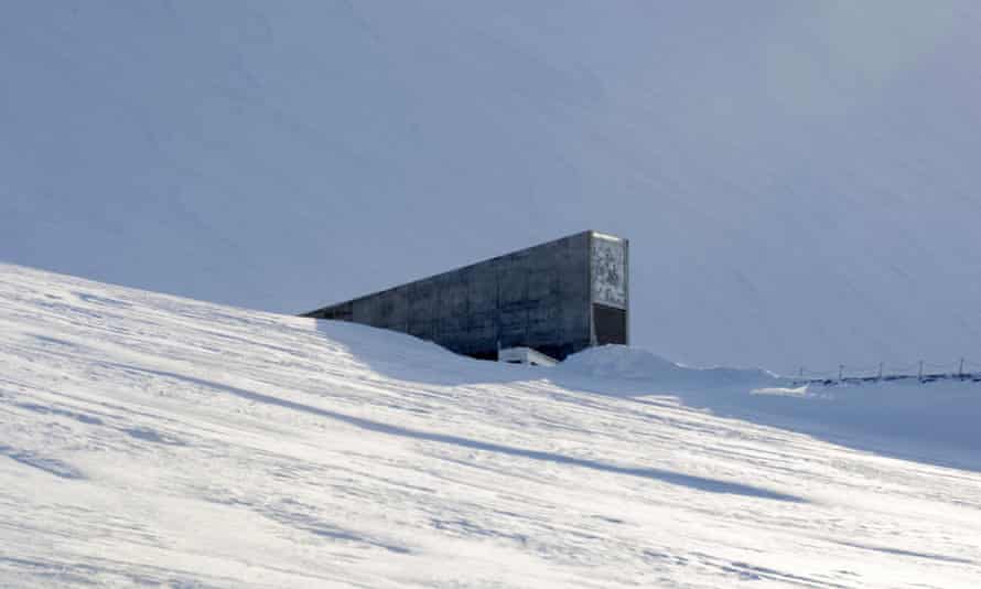 The Doomsday Vault The Seeds That Could Save A Post Apocalyptic World Conservation The Guardian The Doomsday Vault The Seeds That Could Save A Post Apocalyptic World Conservation The Guardian