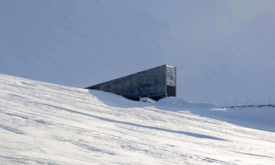 In daylight, the concrete portal seed vault looks a bit like an iceberg jutting out of the snow.