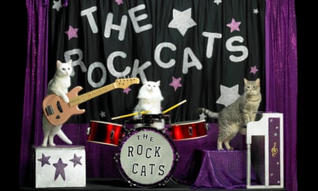 The Amazing Acro-Cats perform on instruments.