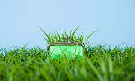 Grass growing out of a purse
