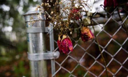 Roses at the site of where Misty Upham was found.