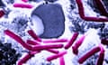 The Pentagon says it accidentally sent live anthrax spores to laboratories.
