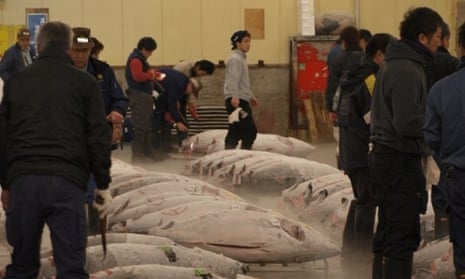 Tuna auction at the Tsukiji fish market in Tokyo.